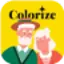 ImageColorizer logo