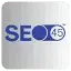 SEO45 AI logo