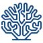 Coral AI logo