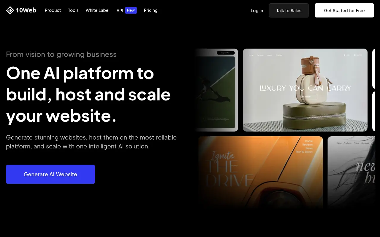 10Web screenshot